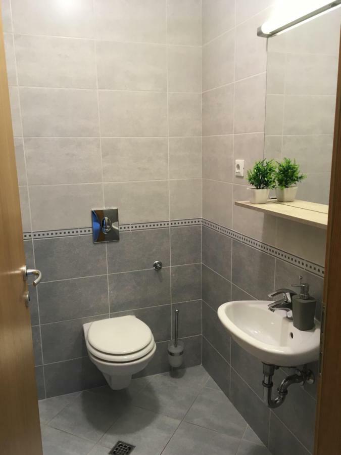 Apartments "Pavic" Near Zagreb Airport Velika Gorica Eksteriør bilde